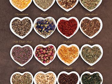 Ayurveda Berater